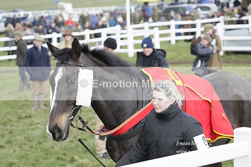 PtP 260323 0863 - New Forest Hounds Point-to-Point Larkhill 26/03/23