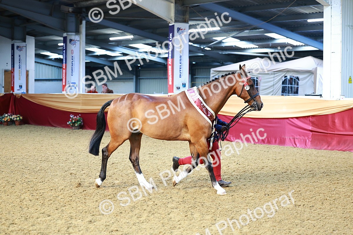 SBM_21937 - Class 901 - Supreme Final - IH  Diamond