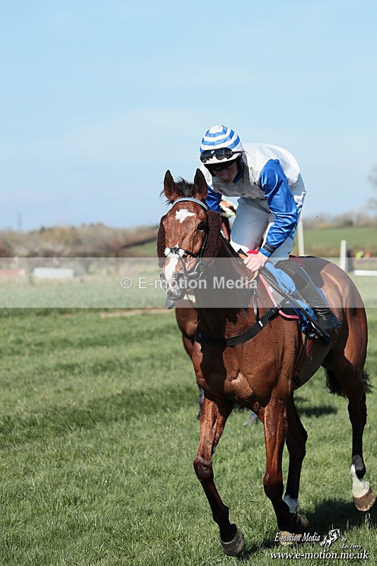 PtP 210326 156 - VWH Cirencester Races 21/03/26