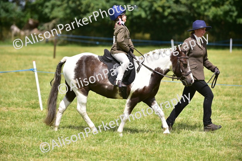 20260614-1368 - Class 11b - Lead Rein Pony (Plaited)