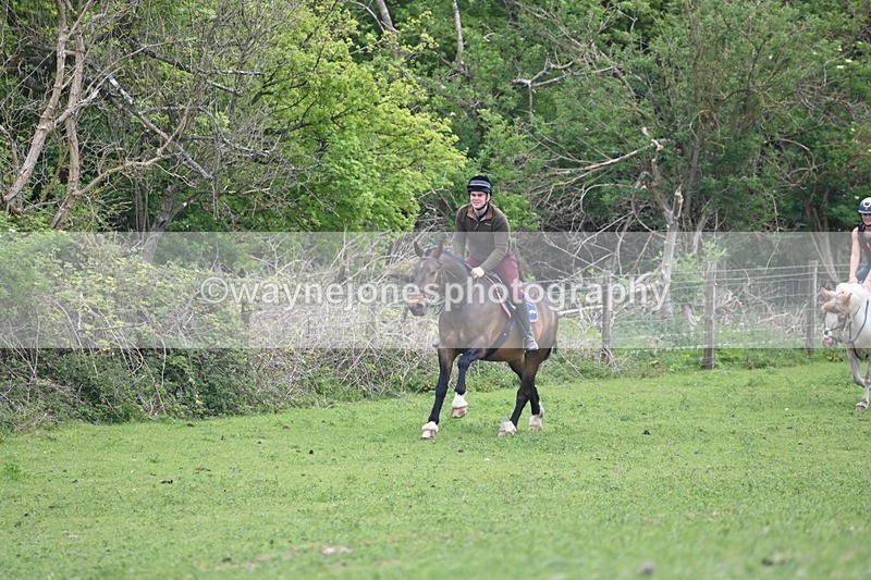 WJ6_3270 - A camera