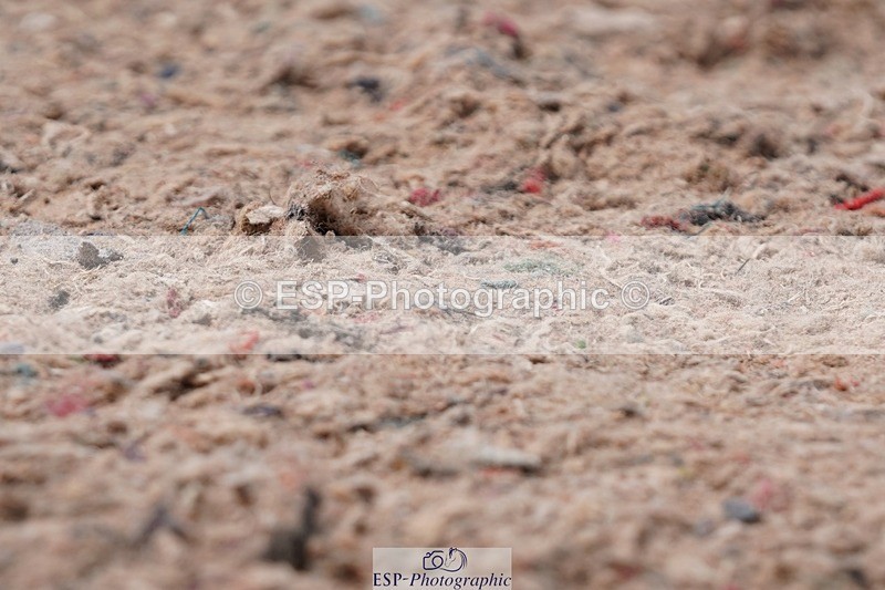 250510-123620-11305 - Cls 15 Prestige Big Star Quali  1st Jump Off