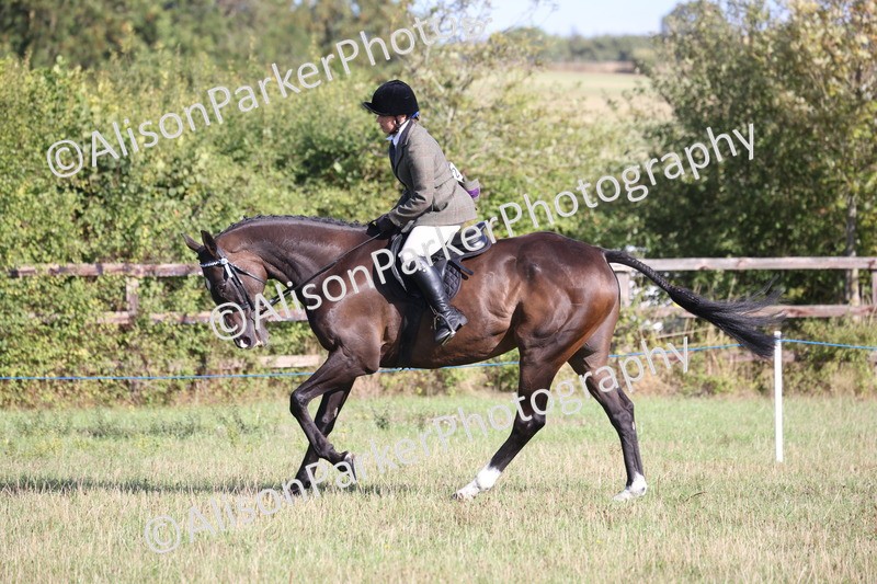 20260906-0416 - Class 14 - Ex Racehorse