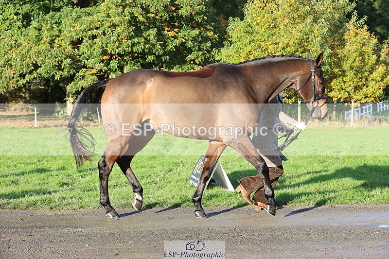 251026A-093517-22349 - D-357-Fenella.Redvers