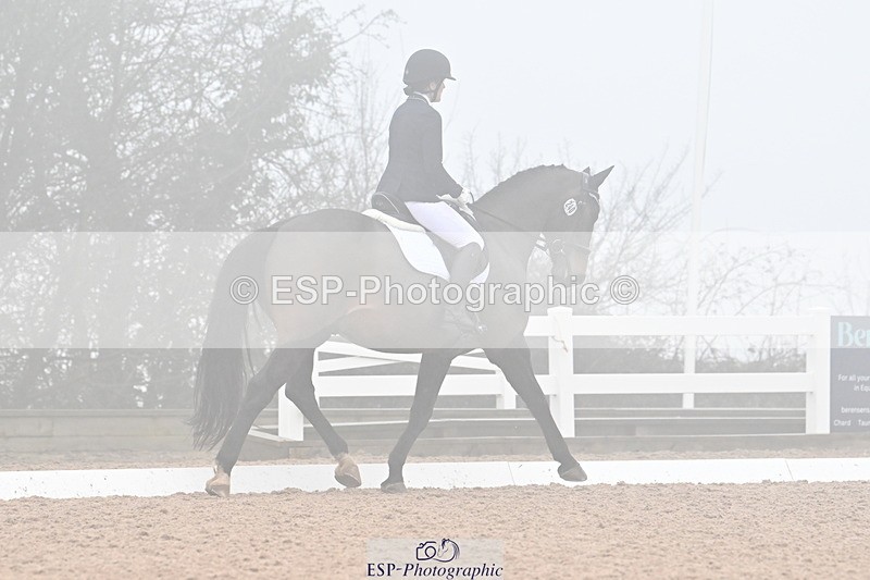 240217A-135215-03299 - 240-Moira.Bonner-Green.lanes.Elidor