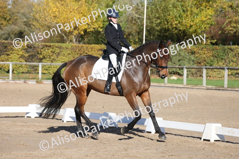 20251102-0885 - Class 5 - Elementary 5