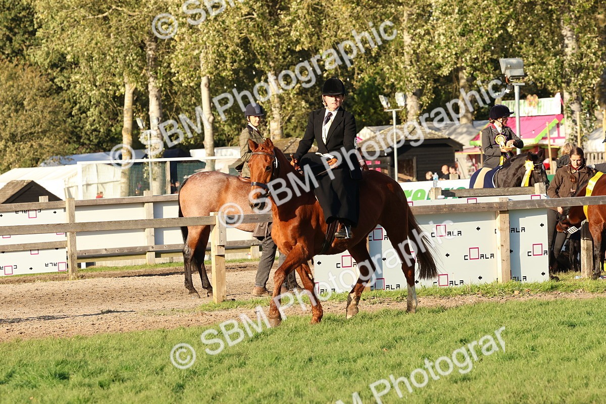 SBM_53061 - S29 - Mature Veteran Ridden