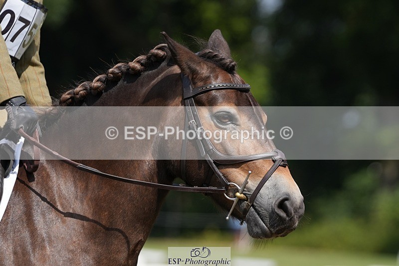 250823A-134808-31080 - Arena B