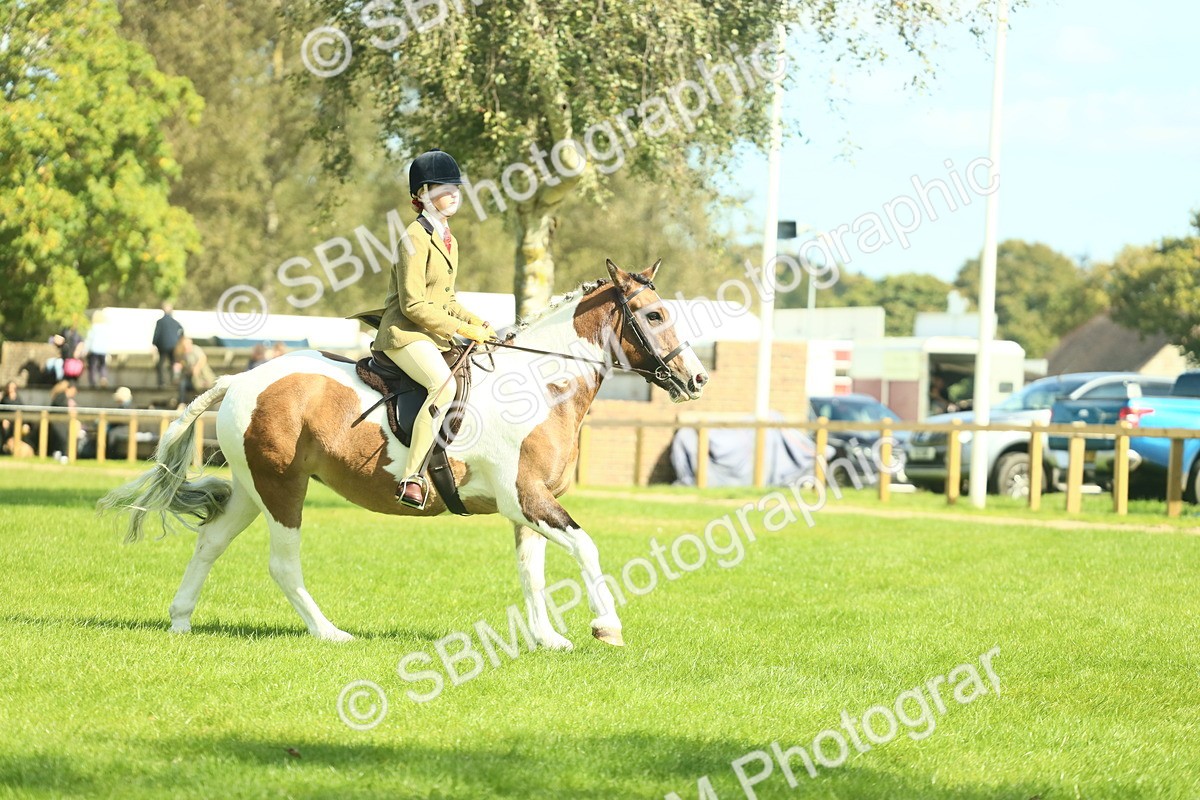 SBM_41970 - S29 - Novice & Newcomers Working Hunter Pony
