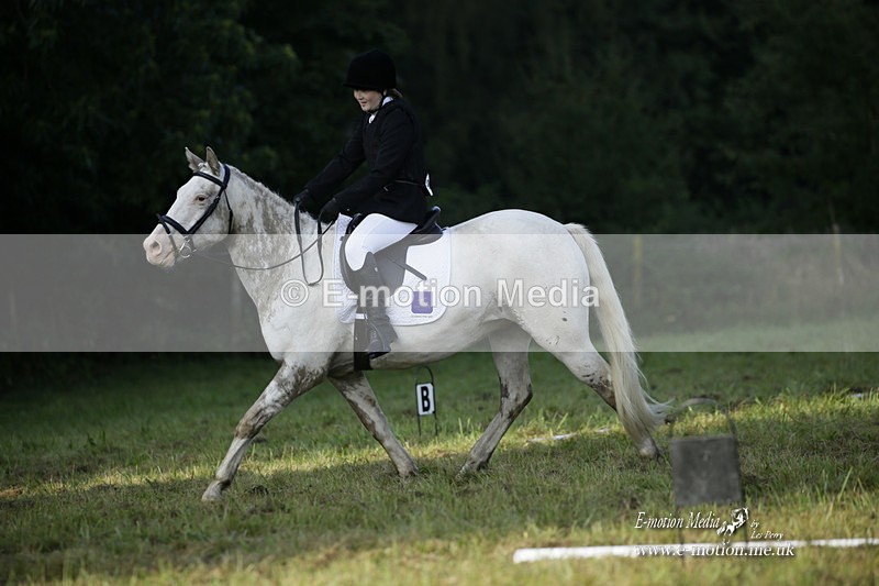 BVRC 120921 29 - Bourne Valley Riding Club UA Dressage & Show Jumping 12/09/21