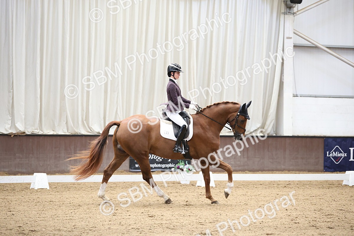 SBM_002813 - Class 5 - Novice 6 Gold - 10.24-11.30
