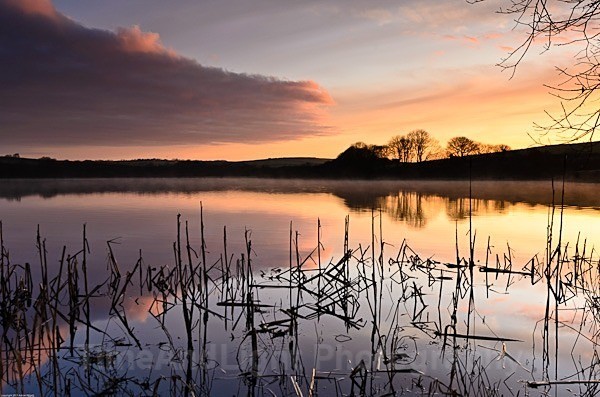 Tamar Lake - Cornish Landscapes
