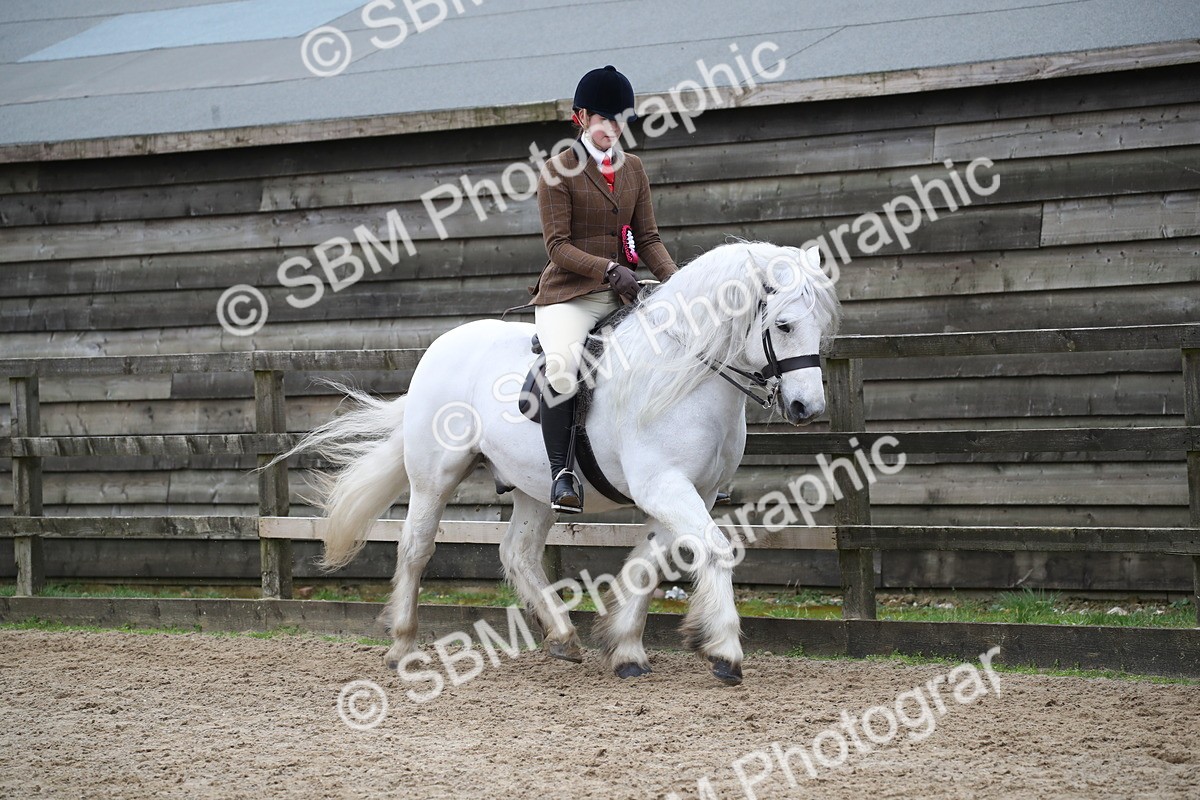 SBM_006264 - Class 10-13 - RIHS Small Large Breeds