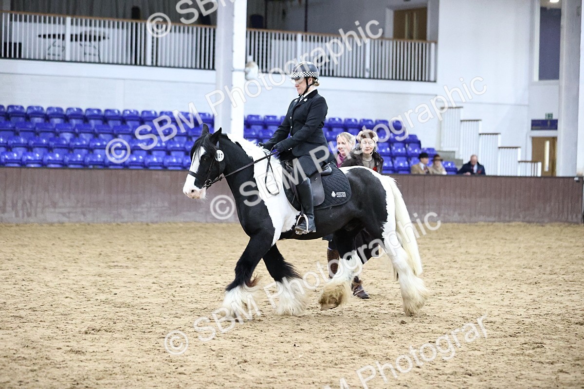 SBM_6376 - Class 45-42 - Ridden Irish Breeds-Ridden Cob