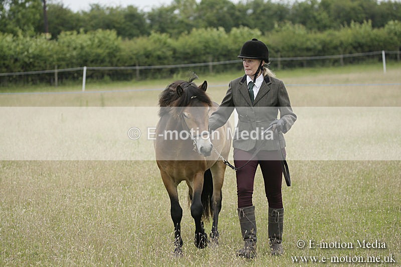 B230619-0081 - Bourne Valley Riding Club Summer Show 23/06/19