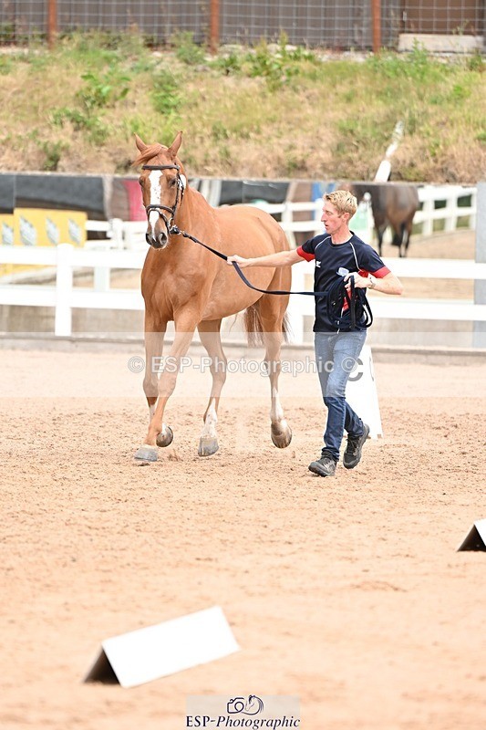 250716-144021-01282 - Trot Up 2.30 to 3.30