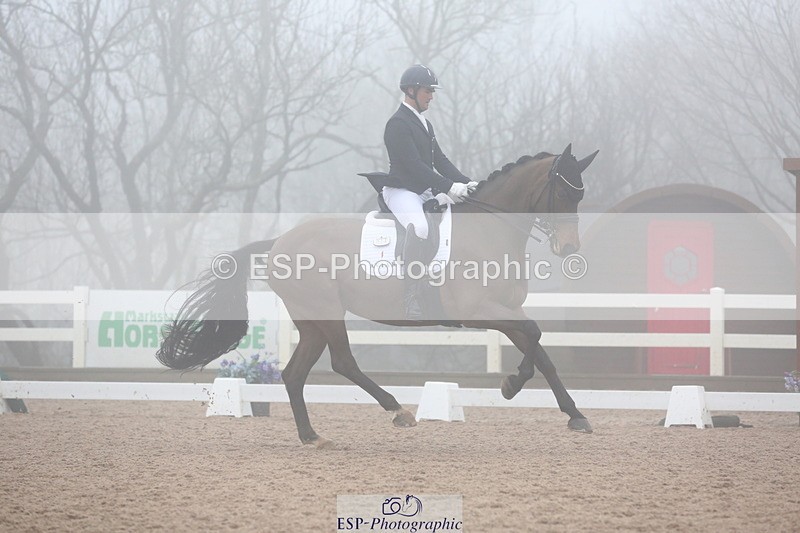 240217A-140318-03989 - 172-Jezz.Palmer-Honey.D'Or