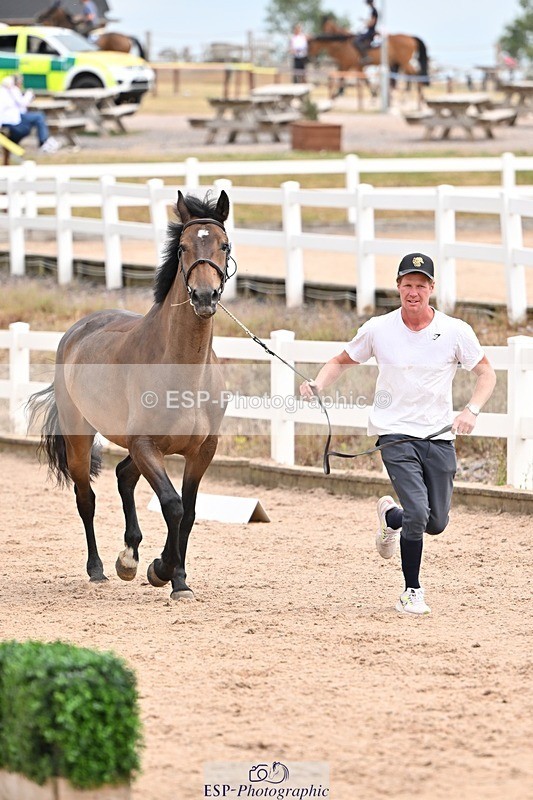 250716-150908-01695 - Trot Up 2.30 to 3.30