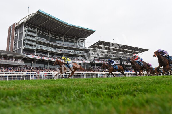 yr22072022r3-55 - Race 3 6.20pm Tomahawk Stakes