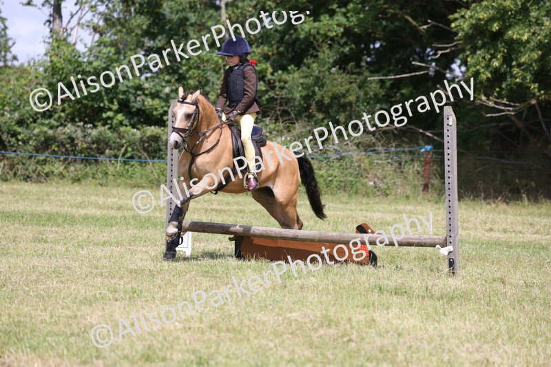 20260614-1896 - Class 21 - Novice Working Hunter Pony