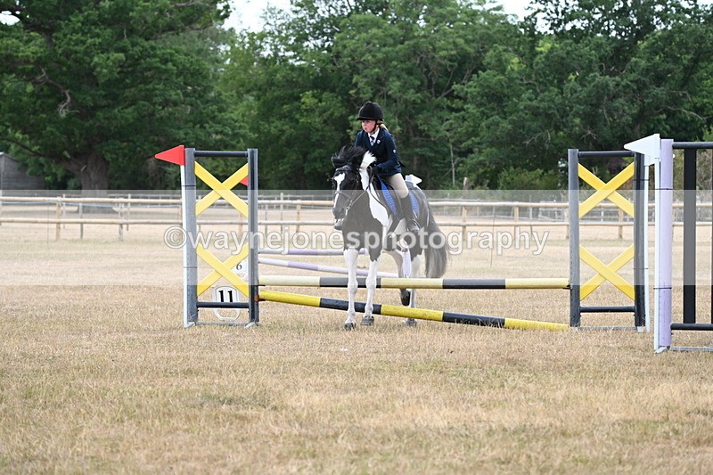 WJ6_9962 - Class 13 Novice Jumping 60cm