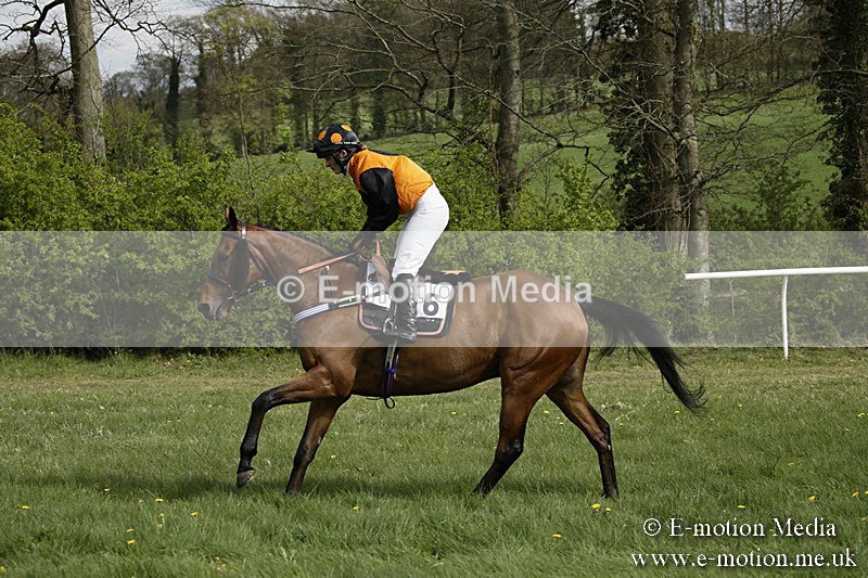 PtP 170417 256 - Old Berks Point-to-Point Lockinge 17/04/17