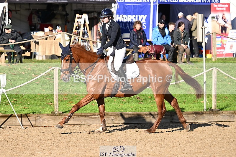 251024A-104918-06588 - B-154-Holly.Law