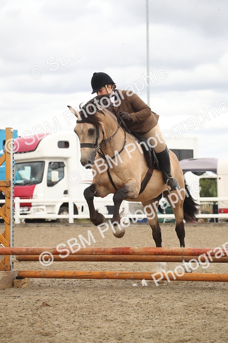 SBM_16672 - Class 507a - Working Veteran - 60cm (15-19)