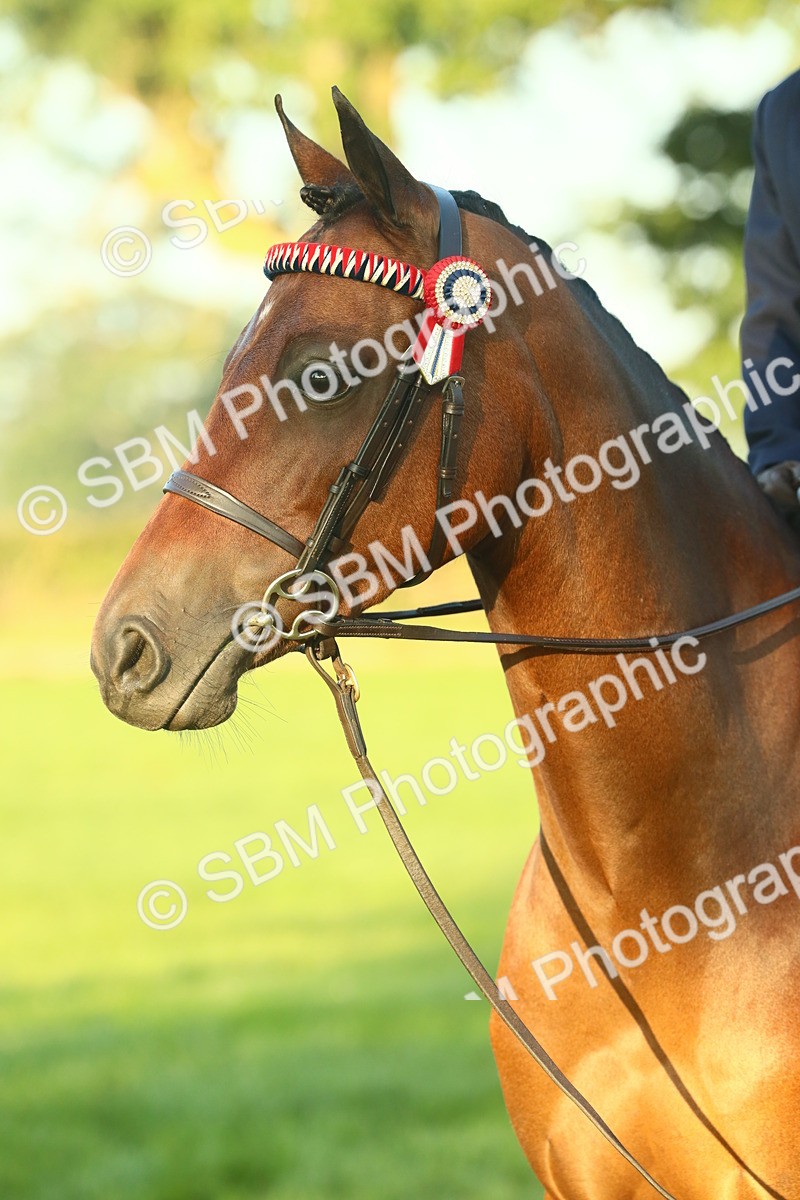 SBM_56588 - S36 - Starters Best Turnout