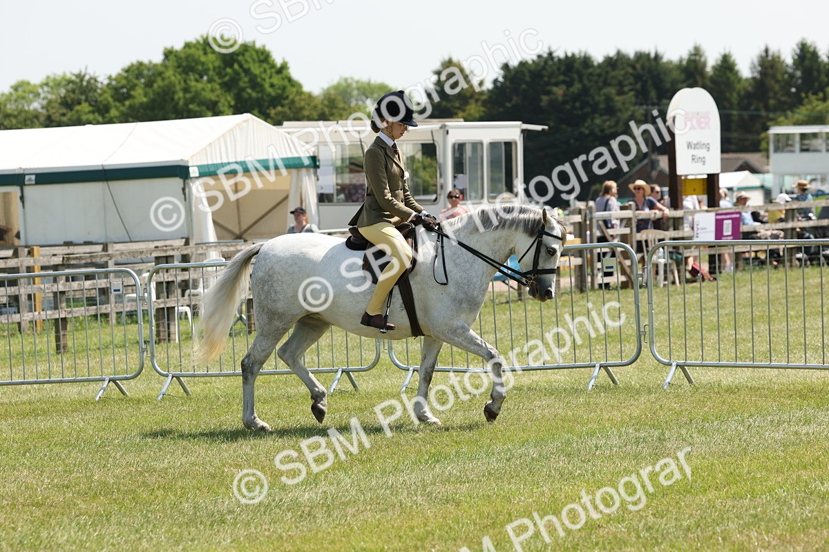SBM_06724 - Class 26-30 - Mountain and Moorland Ridden