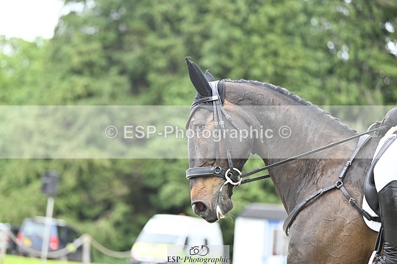 240523-163129-05442 - 444-BENEDICT_DALTON_RADAU-Anne_Mackley