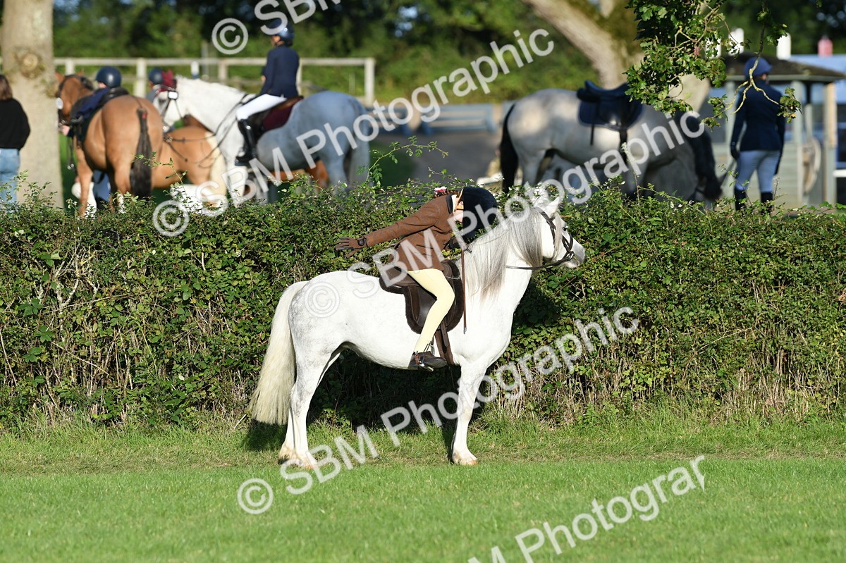 SBM_54112 - S23 - 1st Ridden Mountain & Moorland Pony