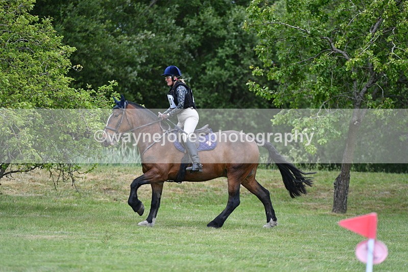 WJ5_3173 - Class 4 60cm