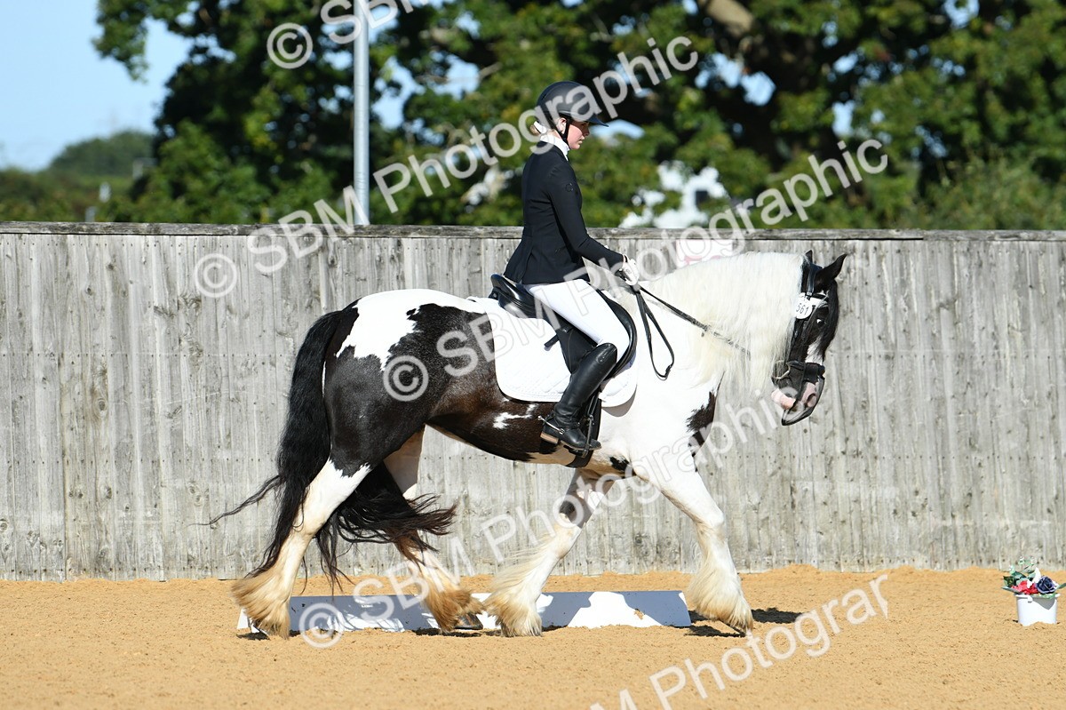 SBM_16269 - D4 - Small Tour Championship - Intro B