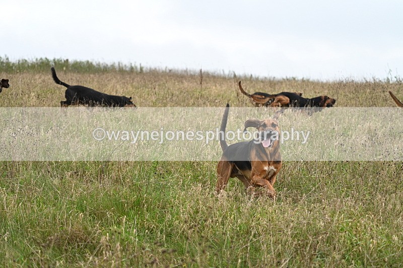 WJ7_9826 - Camera 1 & Last fence
