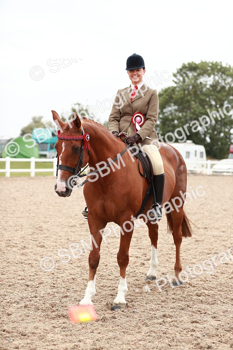 SBM_17630 - Class 215 Ridden Hack/ Riding Horse