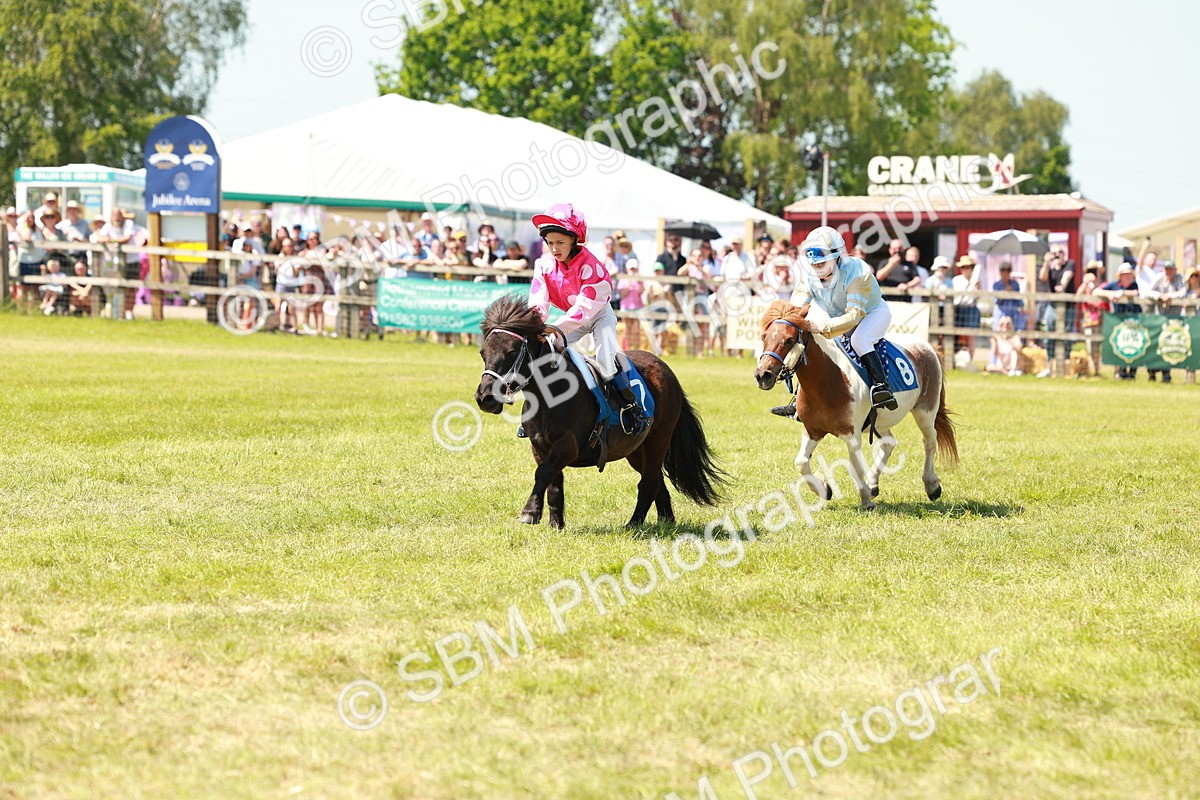 SBM_16703 - Shetland Grand National