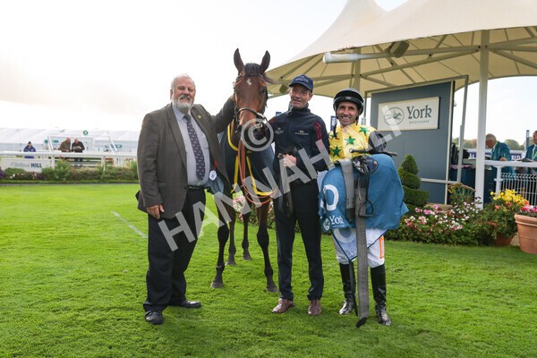 yr07102022r5-36 - Race 5 4.25pm Copper Knight Winningmost Horse Stakes