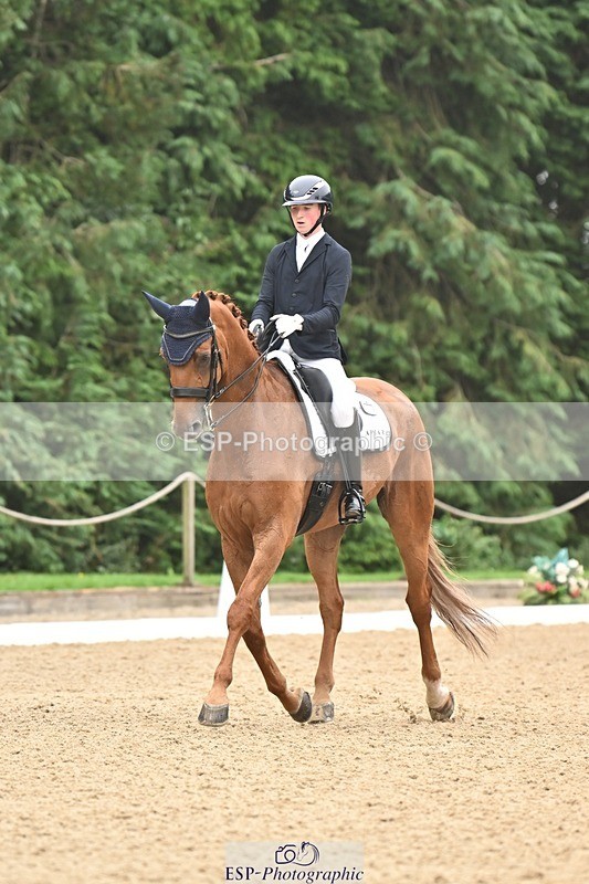 240811-113841-05226 - 208-Tom.Carter-Rubin.Regal