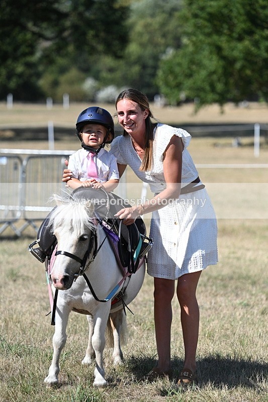 WJ7_1384 - Class 41 Prettiest Mare