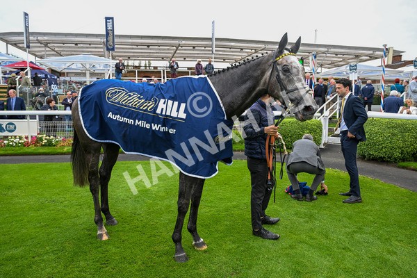 101025-Race 1-Ice Max-0140 - Race 1 William Hill Autumn Mile Handicap at York