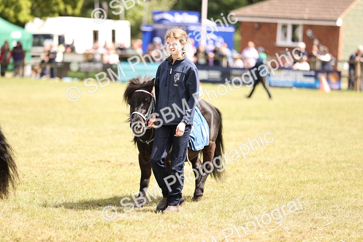 SBM_16389 - Dinky Derby