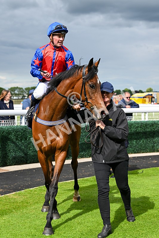 290524-Race 6-Spring Chorus-7008 - Race 6