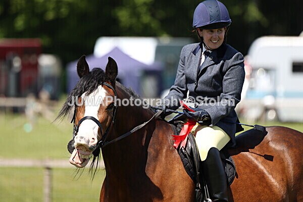 IMG_3584 - Working Hunter