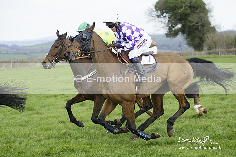 PtP 060322 257 - Blackmore & Sparkford Vale Hunt PtP 06/03/22