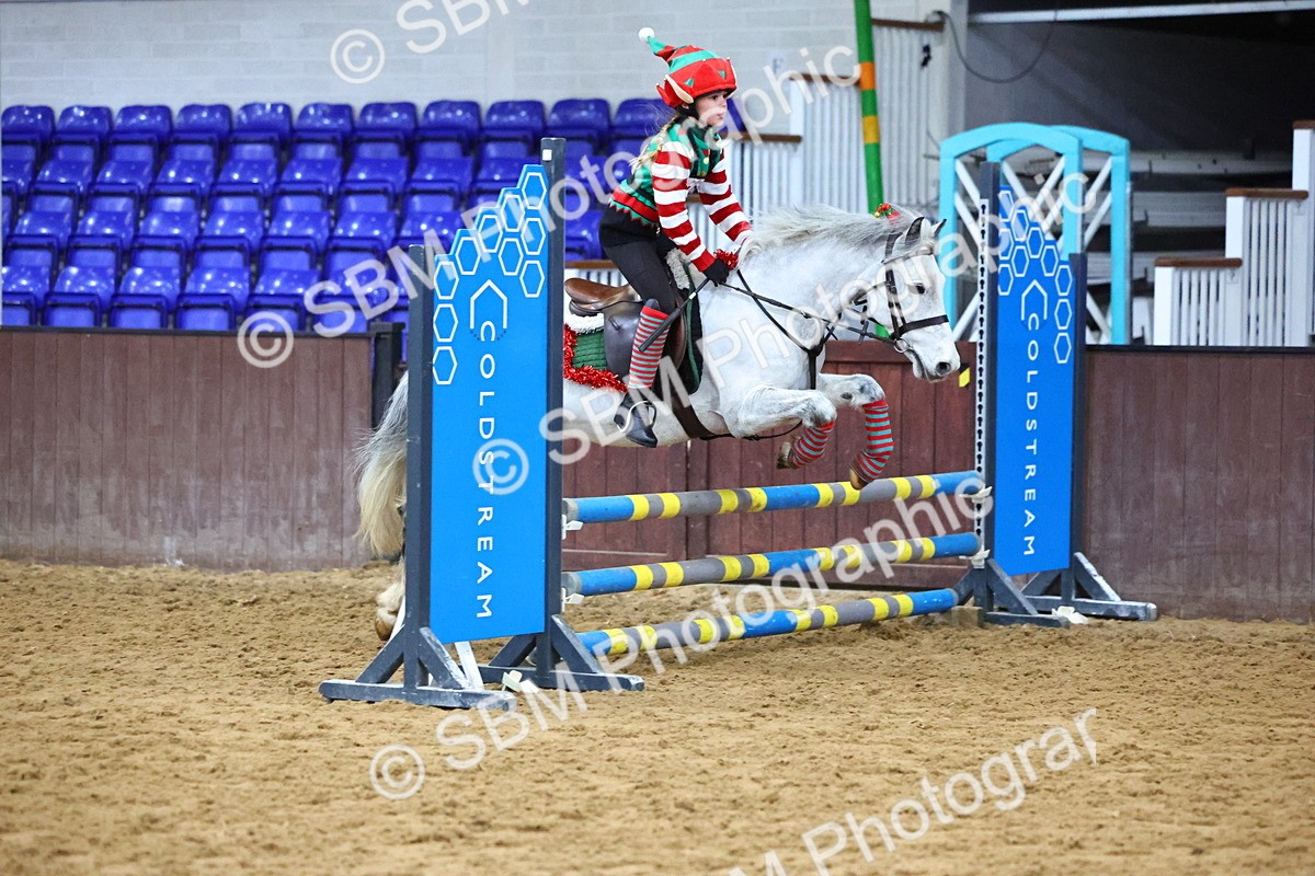 SBM_001355 - Class 3 - Christmas Tree Stakes - 60cm