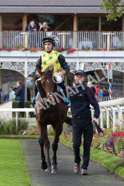 yr07102022r5-28 - Race 5 4.25pm Copper Knight Winningmost Horse Stakes