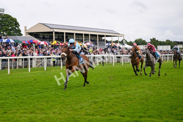 150624-Race 5-The Strikin Viking-7659 - Race 5 4.10pm Reg Griffin Appreciation ebfstallions.com Maiden Stakes