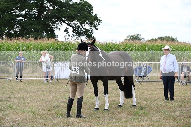 WJ6_6223 - Class 19 In-hand Veterans (Uploaded correct folder)