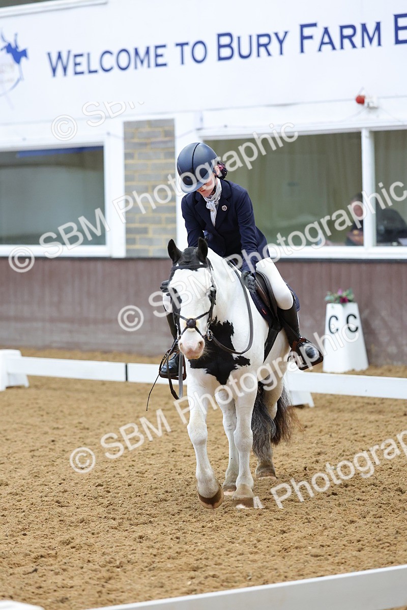 SBM_003100 - Novice